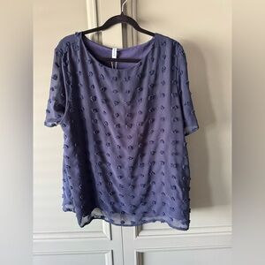 NWT Elegant Blue Women's Top